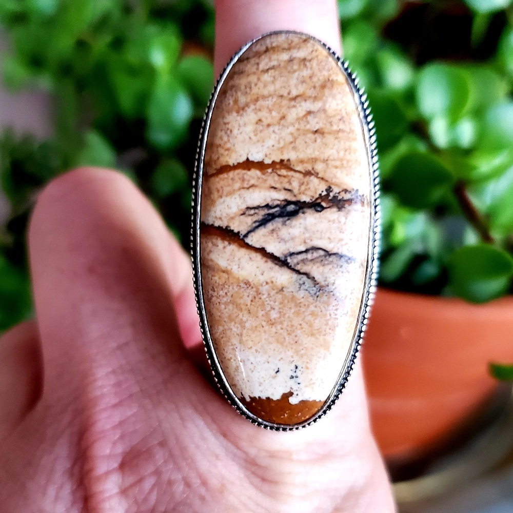 New Oversized Picture Jasper 925 Silver Statement Ring.